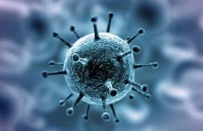 В Воронежской области коронавирус обнаружили у десятилетнего мальчика, его тёти, бабушки, а также у одного мужчины 